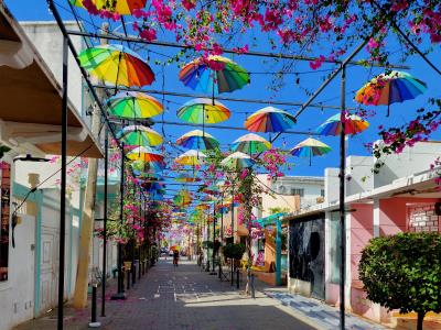 Umbrella Street