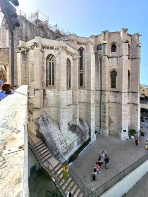 Carmo Convent Ruins