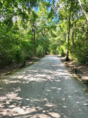 Calakmul World Heritage Site