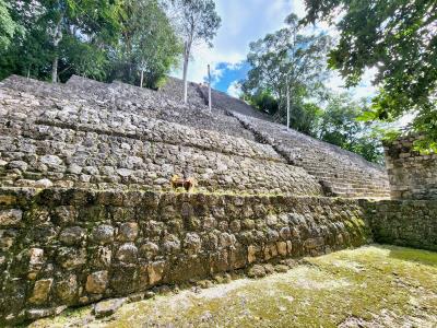 Calakmul World Heritage Site