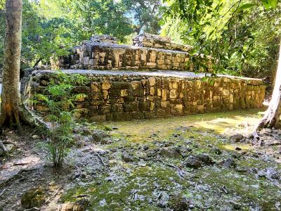 Calakmul World Heritage Site